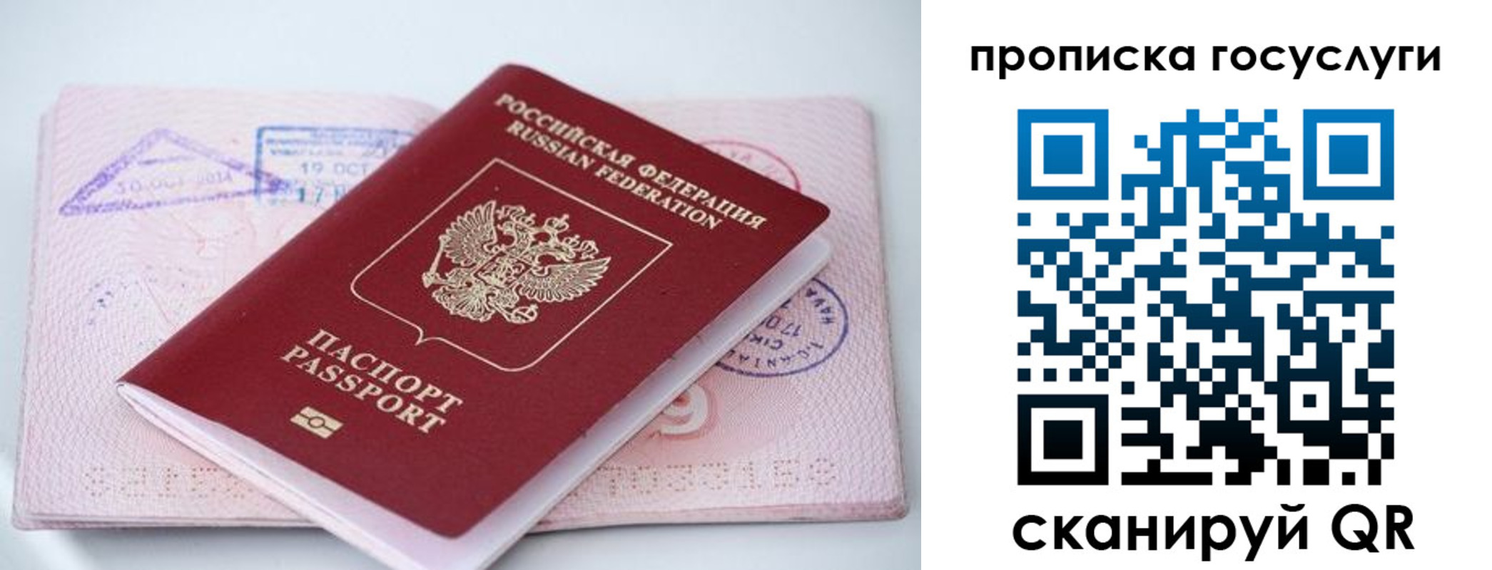 прописка законно в Ногинске